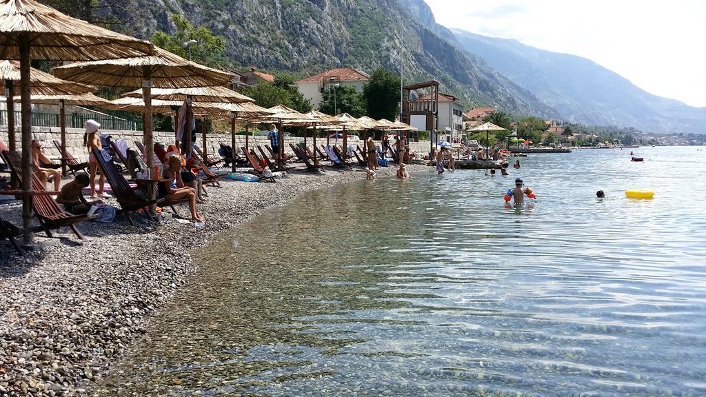 Apartments Coral Kotor Værelse billede